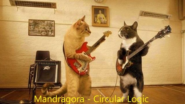 Mandragora Circular Logic practice 8 10 10 смотреть онлайн