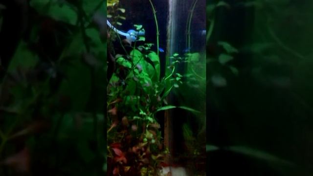 aquaspace22 смотреть онлайн