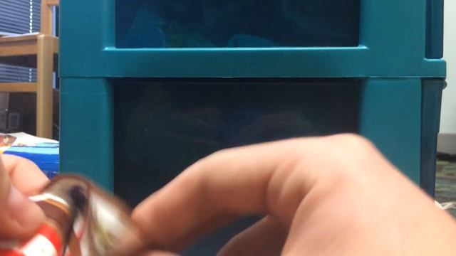 Opening Roblox Toys Blind Boxes Series 1 смотреть онлайн
