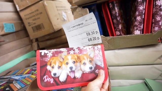 КАНЦЕЛЯРИЯ из СВЕТОФОРА готовимся к 1 СЕНТЯБРЯ смотреть онлайн