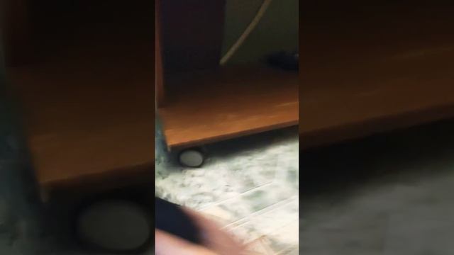 шериф тостер против монстр 2 смотреть онлайн