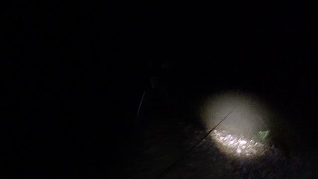 ЛОВЛЯ КАРПА В АВГУСТЕ | ГОРЯЧИЙ КЛЮЧ | РОДНОЕ МЕСТО смотреть онлайн