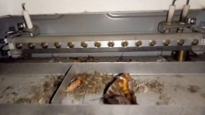 Котел Saunier Duval(Сеньор Дюваль)－не запускается!Проблема банальная!Устраняем своими руками!