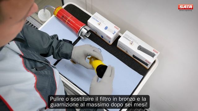 SATA filter 584 - Manutenzione смотреть онлайн