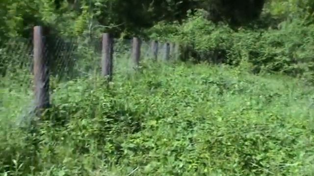 Участок на море в пос. Ольгинка смотреть онлайн