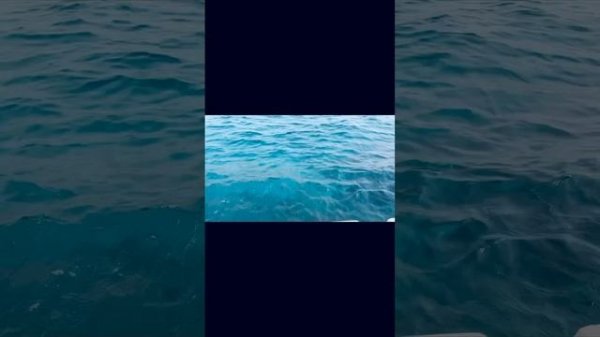 Отель Gravity Hotel & Aqua Park Sahl Hasheesh 5* Египет полный обзор