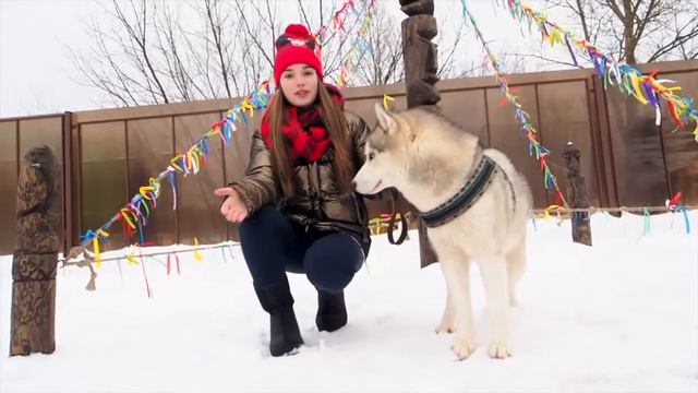 Саша Сбилберг мой новы трек читаю рэп смотреть онлайн