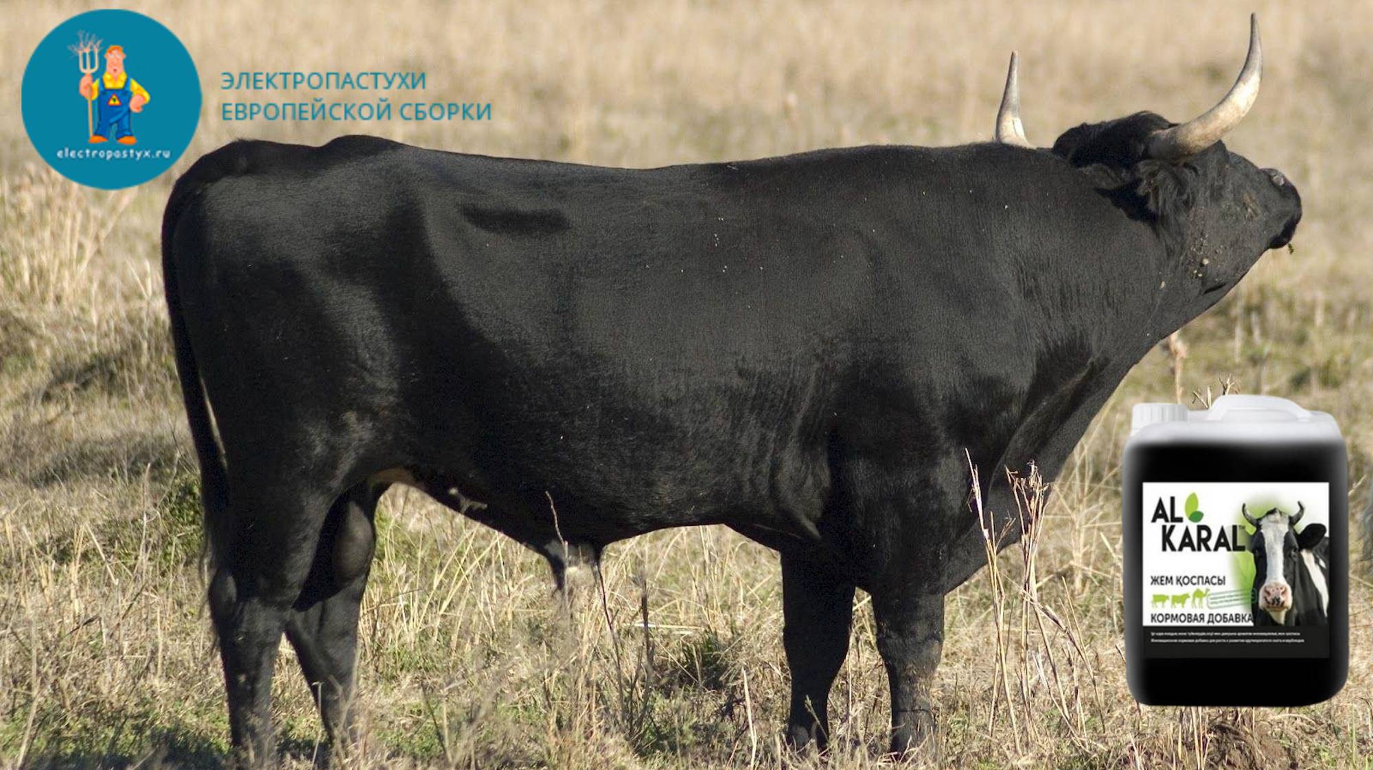 Отзыв на кормовую добавку "Al Karal для КРС". смотреть онлайн