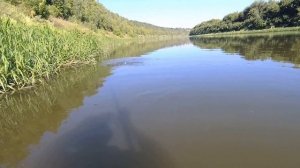 ЛОВЛЯ на ПОПЛАВОЧНУЮ УДОЧКУ!РЫБАЛКА в ПРОВОДКУ на РЕКЕ ДОН!