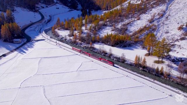 CUTE BABY ANIMALS 8K (120FPS) UHD - Cute Young Wild Animals With Relaxing Music (Colorfully Dynamic