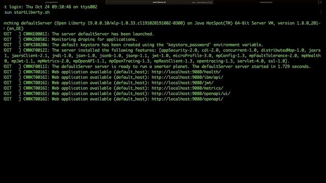 Optimizing Cloud Native Java with Jakarta EE / MicroProfile смотреть онлайн