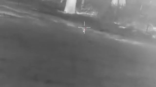 TrackIR Guide 50mm tiny fox pup nailed at 70m смотреть онлайн