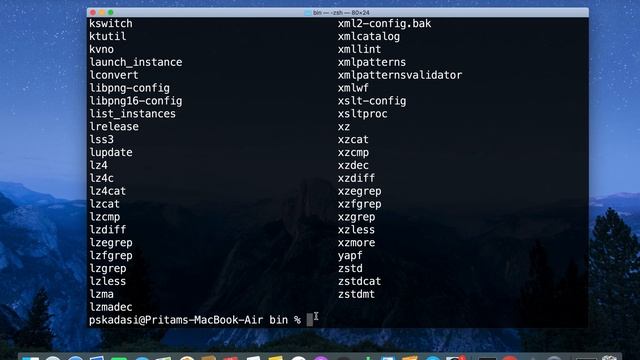 How to setup Anaconda, Python3, Jupyter Notebook, Jupyter Lab on macOS 2020 смотреть онлайн
