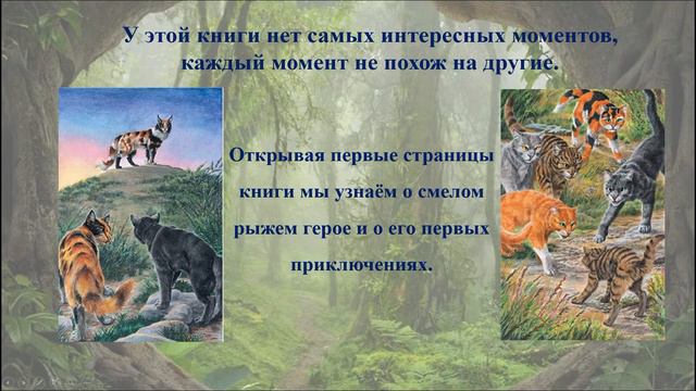 Буктрейлер Коты воители Автор Макарова Юлия смотреть онлайн