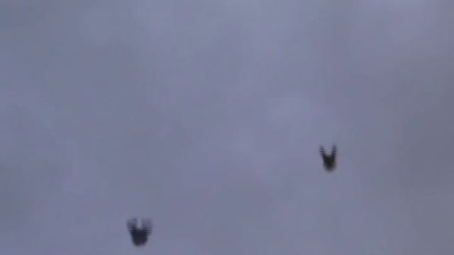 Торцовые1 смотреть онлайн