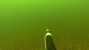 Подводная охота. Сиг. Енисей 02.03.2013