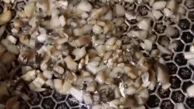 Кулинарное творчество на все случаи жизни 