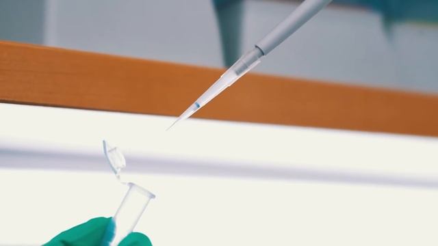 Real-Time PCR in Action