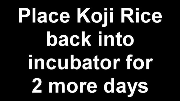 How to Make Koji Kin