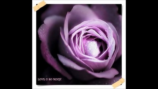 IT WAS LOVE AT FIRST SIGHT FOR SEBASTIEN.wmv