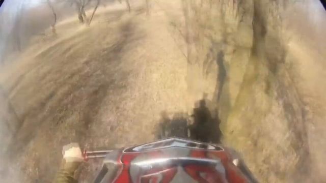 Как правильно целоваться с деревом (mountain bike) (07.04.18) смотреть онлайн