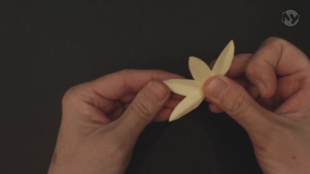 98 - Цветы без шаблонов. 8 и 16 лепестков смотреть онлайн