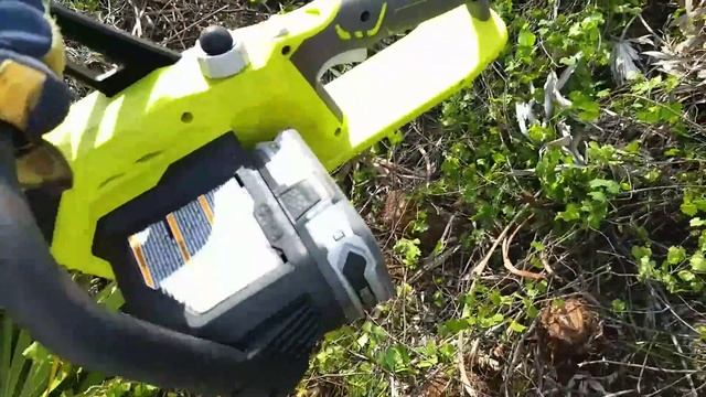 Построить дом в США своими руками. Начало. Расчистка участка. Косим пальмы пилой на батарейках смотреть онлайн