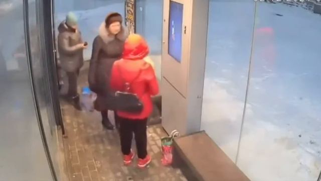 Пёс нашёл себе дом на зиму — тёплую остановку в Сургуте смотреть онлайн