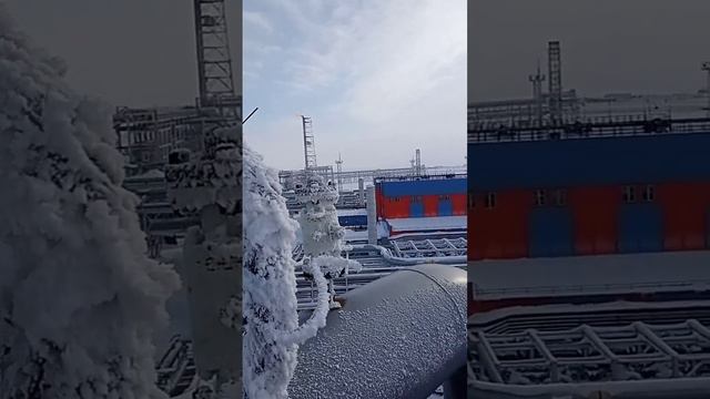 За полярным кругом,на берегу Холодного моря... смотреть онлайн