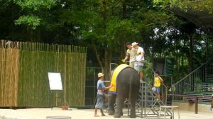 Насыщенный день экскурсий на Самуи