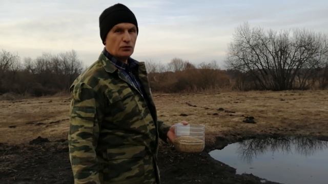 Когда сеять люцерну? смотреть онлайн