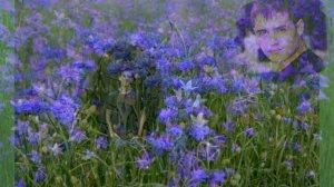 ВАСЯ - ВАСИЛЁК. БАЛАГАН ЛИМИТЕД