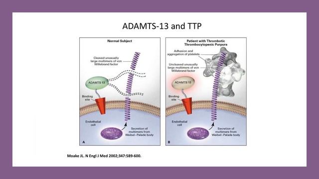 Chance Encounters смотреть онлайн