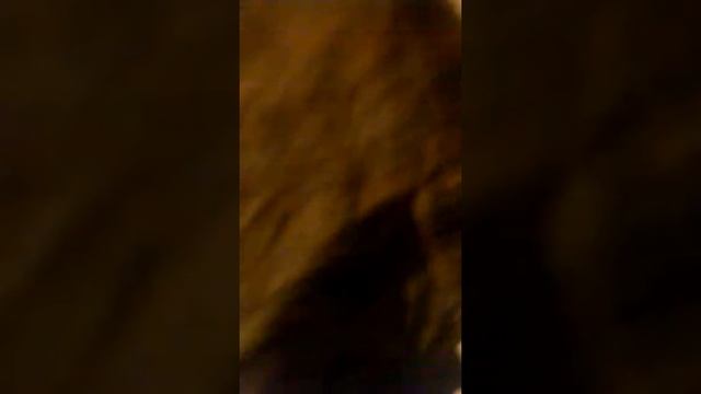#заварить чай Пуэр смотреть онлайн