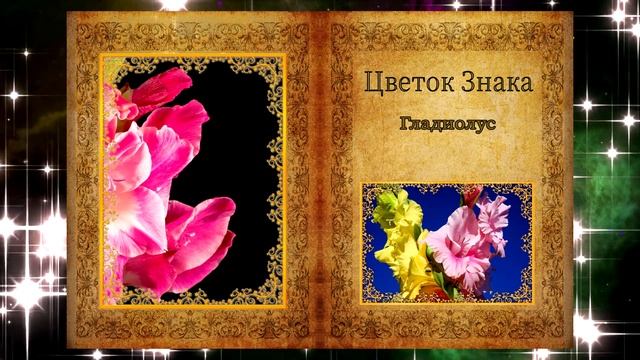 Знак Лев с 23 июля по 3 августа смотреть онлайн