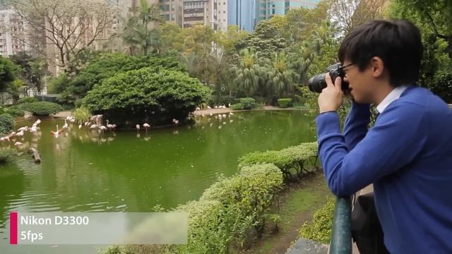 DigitalRevTV по-русски: Canon 1200D Rebel T5 Vs Nikon D3300