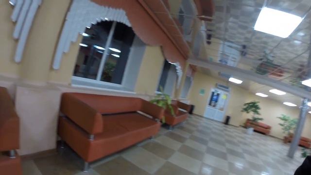 #2 ЛЕВ НИКОЛАЕВИЧ 2016 - Дом минеральных вод краинка смотреть онлайн