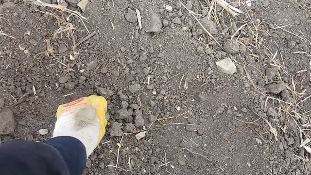 За 2 часа нашёл МЕДАЛЬ 19 ВЕКА! смотреть онлайн