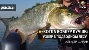 'Когда воблер лучше'.  Уокер в подводном лесу. Алексей Шанин