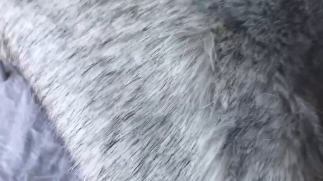 DIY | Fur Chair Upcycle | $1 Thrift Store Makeover смотреть онлайн