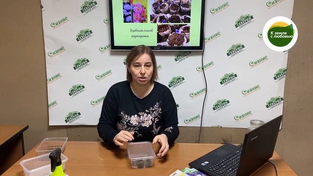 Эустома из семян - особенности и тонкости посева смотреть онлайн