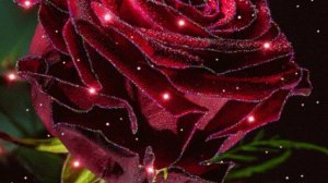 За любимых женщин Руслан Мелехин Автор видео Нина Рудакова