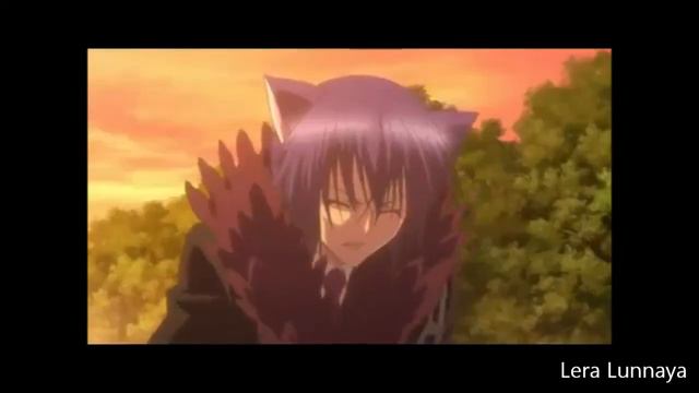 Луна и Икуто - Жди смотреть онлайн