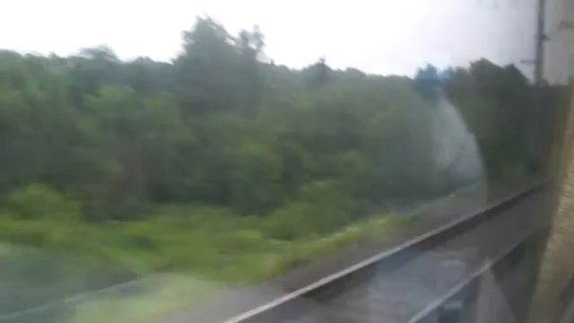 Вид из окна скоро поезда Ижевск-Санкт Петербург смотреть онлайн