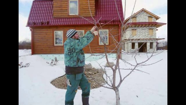 Обрезка сада-уход смотреть онлайн