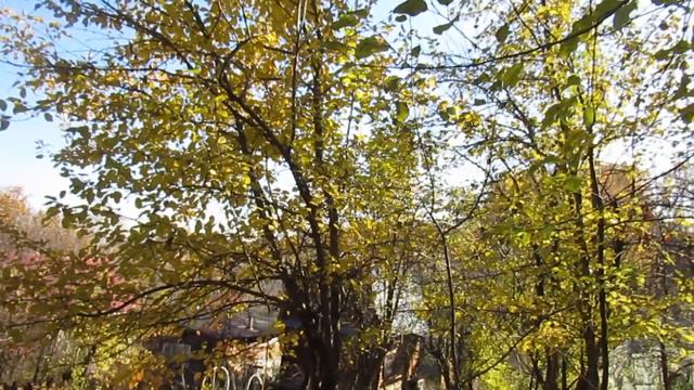 Вечерний час подкрался серой птицей... смотреть онлайн