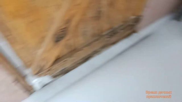 Съездили на дачу. Кто-то бегал по участку смотреть онлайн