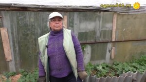 Какой вред от шин в огороде