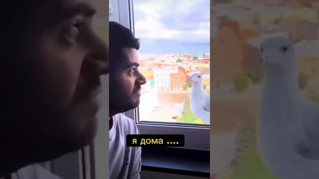 Да,общения в декрете не хватает..#shorts