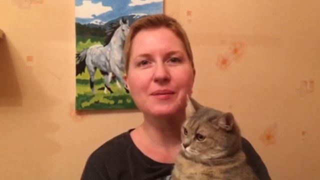 День волонтера смотреть онлайн